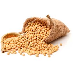 Soybean fodder
