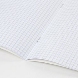 BRAUBERG / Notebook 24 y. "ECO" cage, cover thick coated paper, GREEN PASTEL / 20 pcs.