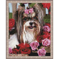 Опт-картина / Khảm kim cương 40x50, kim cương giả hình tròn Yorkshire terrier