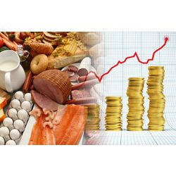 Intermediary services in the procurement of agricultural products