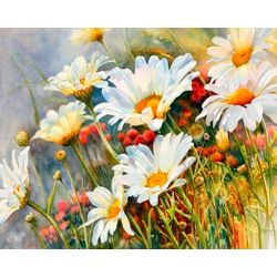 Опт-картина / Sayılara göre boyama 40x50 Papatyalar