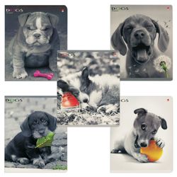 Альт / Notebook A5, 48 y., Bracket, cage, hybrid varnish, "PUPPIES. CONTRASTS" / 10 pcs.