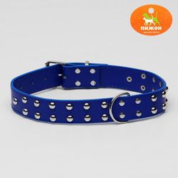 Пижон / Dude / Collar riveted in 2 rows, 65.5 x 3.4 cm, blue