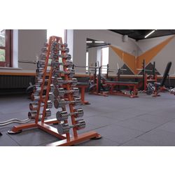Геркулес / Hercules / Storage rack for chrome dumbbells "MB Barbell"
