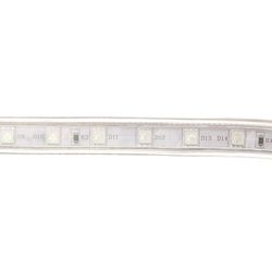Ecola / Bande LED, 220V