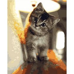 Опт-картина / Painting by numbers 40x50 Little kitten