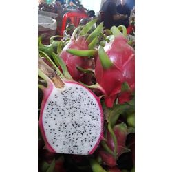 Fresh dragon fruit
