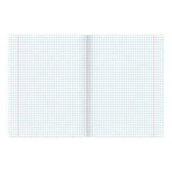 BRAUBERG / Notebook A5, 48 sh., ECO, cage, cardboard cover, AUTO / 10 pcs.