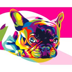 Опт-картина / Pintura por número 20x30 Rainbow Bulldog