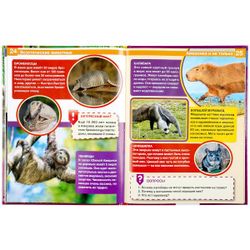 Умка / Umka / Encyclopedia "Exotic Animals"