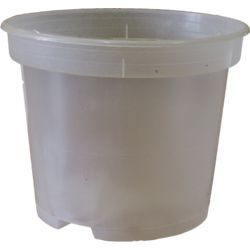 Colorless pot (for orchids)