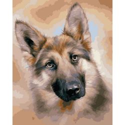 Опт-картина / 数字绘画 40x50 牧羊犬