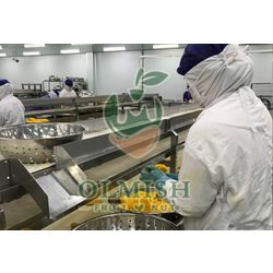 MANGO CUBES IQF FROZEN FROM THE MANUFACTURER