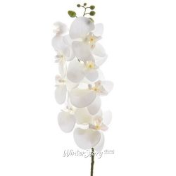 Kaemingk / Artificial flower Orchid White Princesse 77 cm