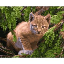 Опт-картина / Painting by numbers 40x50 Kitten in the bushes