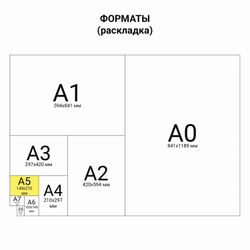 BRAUBERG / Notebook subject TO KNOWLEDGE 36 sheets, cover coated paper, PHYSICS, cell / 30 pcs.