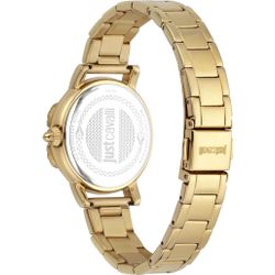 Just Cavalli / Glam Chic JC1L151M0055