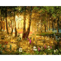 Опт-картина / Pittura con numeri 40x50 Alba nella foresta