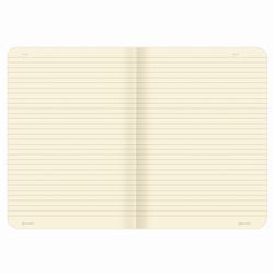 BRAUBERG / Notebook 60 l. in line leatherette cover SoftTouch, stitching, B5 (179x250mm), WHITE, RAINBOW / 2 pcs.