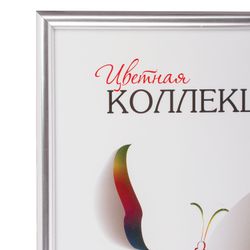 Frame business-class 21x30 cm, plastic, baguette and 11 mm, silver, glass