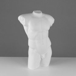 Мастерская Экорше / Plaster figure "Antique torso"