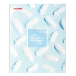 ПИФАГОР / Agenda 1-11 grade 40 feuilles, sur support, couverture cartonnée, avec mention "Plumes sur bleu" / 10 pcs.