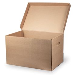 Box archival "record keeping" (325х480х295 mm), with lid, corrugated Board, BRAUBERG,