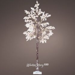 Kaemingk / Weiß Cercis LED Holz 210 cm, 270 warmweiße Micro LED Lampen, IP44