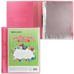 Folder for portfolio student, 2 rings, 20 files, plastic, translucent, red, BRAUBERG