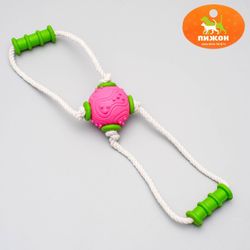 Пижон / Dude / Toy rope with chewing elements "Ball with 2 handles", up to 30 cm, mix