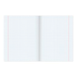 BRAUBERG / Notebook 24 y. "ECO" cage, cover thick coated paper, GREEN PASTEL / 20 pcs.