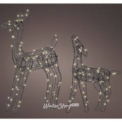 Kaemingk / Conjunto Glowing Deer Gold Coast - Deers, 2 unidades, 59-78 cm, 120 Luzes LED Grandes e Brilhantes, Branco Quente, IP44