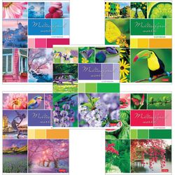 HATBER / Notebook А5, 96 sheets, staple, cage, cardboard cover, "Colorful world" / 12 pcs.