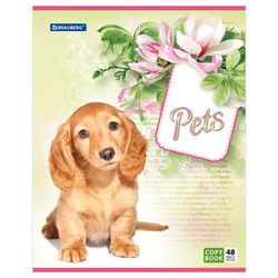 BRAUBERG / Notebook A5, 48 sh., ECO, cage, cardboard cover, PETS / 10 pcs.