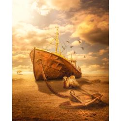 Опт-картина / Pittura per numero 40x50 Nave nel deserto