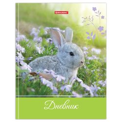 BRAUBERG / Diary 5-11 Grade 48 l.，坚硬、有光泽的层压板，带有暗示，“可爱的兔子”/ 10 件。