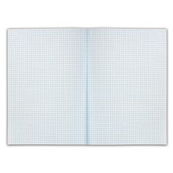 Book accounting 48 sheets, A4 200x290 mm STAFF, cage, cover of chalked cardboard, block offset