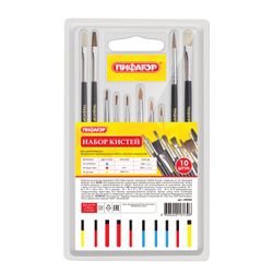 Brush PYTHAGORAS, set of 10 PCs (pony - 5 pieces, synthetics - 3 pieces, the bristles - 2 PCs, round, flat)