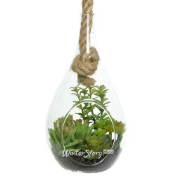 Kaemingk / Decorative hanging florarium Morrigan: Sedum 24 cm