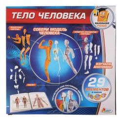 Играем вместе / Zusammen spielen / Experimentierset für den menschlichen Körper