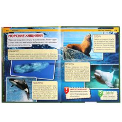 Умка / Umka / Encyclopedia "Predators"
