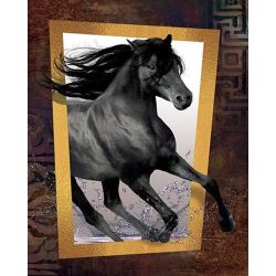 Опт-картина / Peinture par numéros 40x50 Cheval noir
