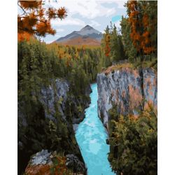 Опт-картина / Pittura con numeri 40x50 Gorge