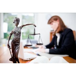 Representation of interests in court