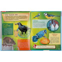 Умка / Umka / Encyclopédie "Les animaux les plus intelligents"
