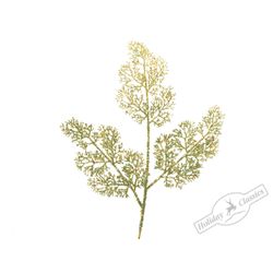 Holiday Classics / Cypress branch, 89 cm