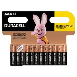 DURACELL / Batteries Basic, AAA (LR03, 24A) alkaline little fingers, SET 12 pcs. in blister