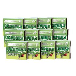 Алтайский Нектар / Gum "Siberian larch", 4 g, 12 pcs