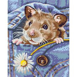 Опт-картина / Paint by number CAKADU 40x50 Hamster