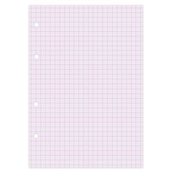 BRAUBERG / Replacement block for a notebook on rings, A5, 80 sh., "Pink" / 12 pcs.